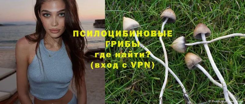 Псилоцибиновые грибы Magic Shrooms  Ахтубинск 